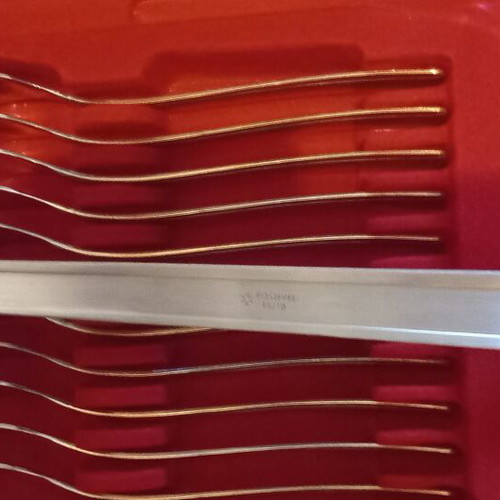 Sciola Cutlery Set 18/10 Stainless Steel Made in Italy with Case