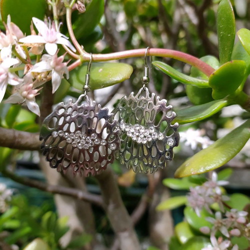 Earrings with crystals used
