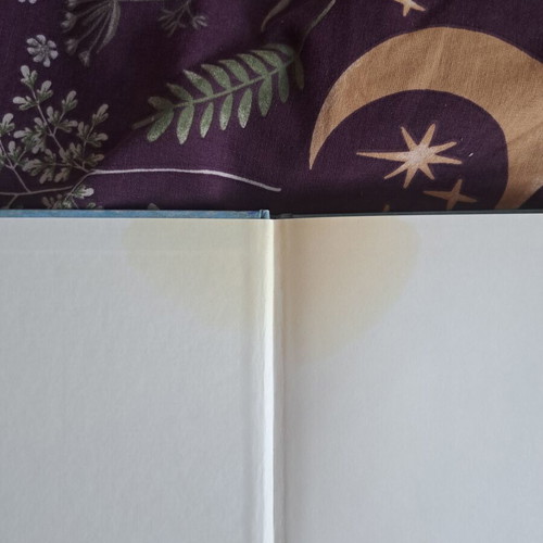Fantastic Beasts and Where to Find Them and The Tales of Beedle the Bard books like new