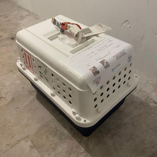 Pet carrier for cats and small dogs, like new, suitable for air travel