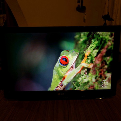LG 22-inch 720p TV used (22LD325H) without stand