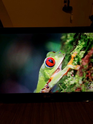 LG 22-inch 720p TV used (22LD325H) without stand