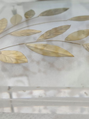 Decorative bouquet in plexiglass like new, brass leaves