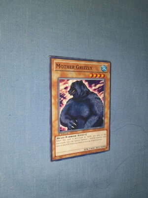 Mother Grizzly Yu-Gi-Oh! карта