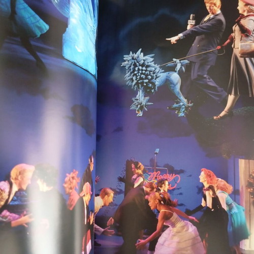 Edward Scissorhands performance program like new