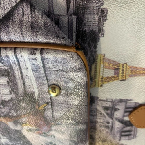 Y Not? Shoulder Bag Paris Print like new