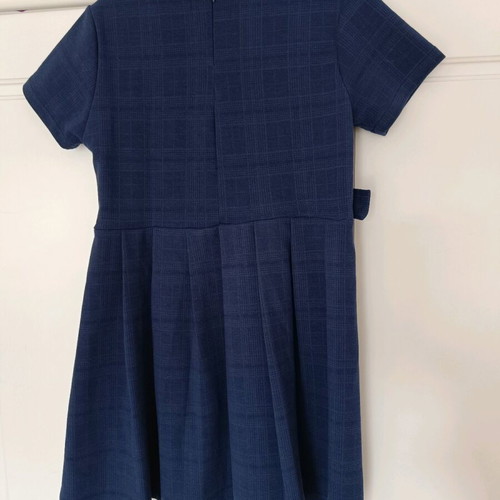 Zara blue nautical check dress like new