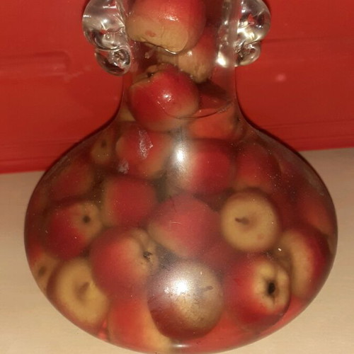 Rustic Decorative Vase with Wild Small Apples used