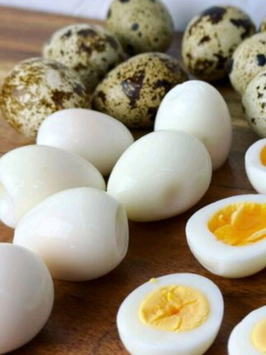Quail eggs new for incubation