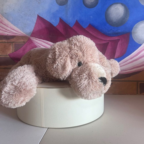 Big Floppy Plush Puppy dog like new, beige