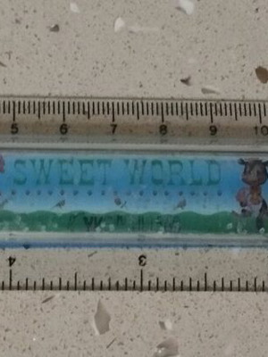 Vintage Sweet World 15cm Ruler with Moving Glitter