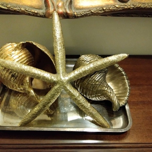 Large seashells and starfish composition like new
