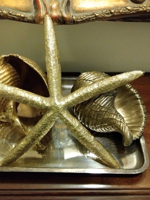 Large seashells and starfish composition like new
