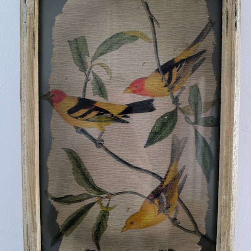 Decorative frames like new 33x23, set of 2 pieces