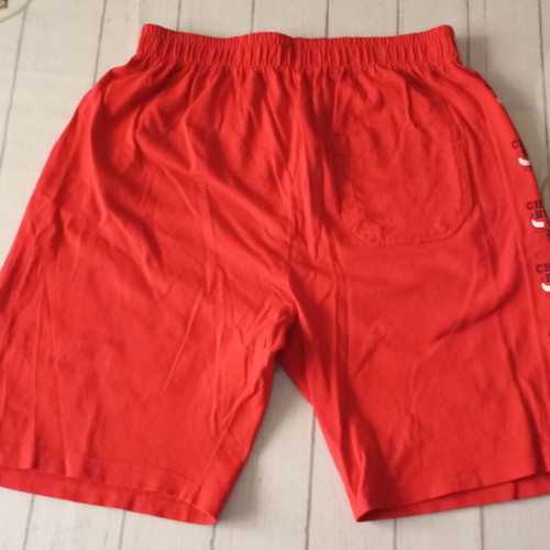 Vintage Chicago Bulls shorts used, authentic