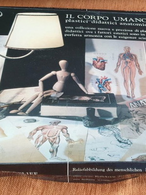 Χάρτης ανθρώπινου σώματος μεταχειρισμένος με 3d απεικονίσεις σε πλαστικό