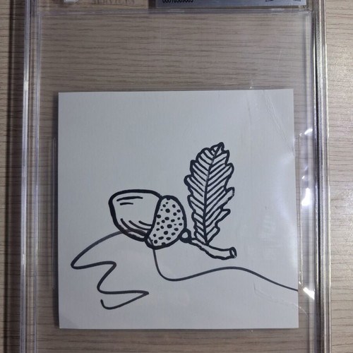 Ed Sheeran Beckett Authentic Autograph CD Insert