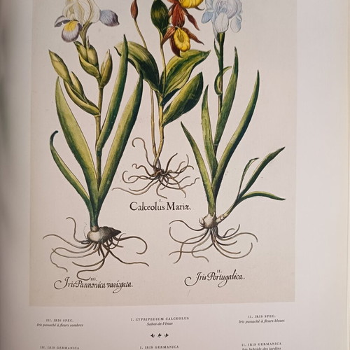 L'herbier Toutes les planches hardcover like new, French