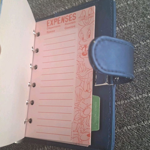 Looney Tunes (Taz) agenda notebook like new with clips