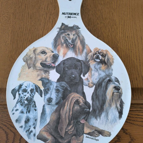 Wooden decorative racket like new