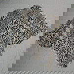  Γυναικεία μπλούζα με animal print -Size 1