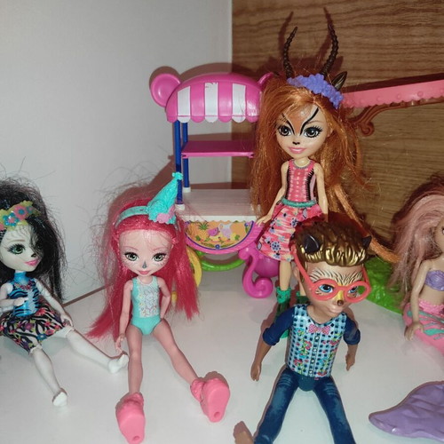 Enchantimals doll set used
