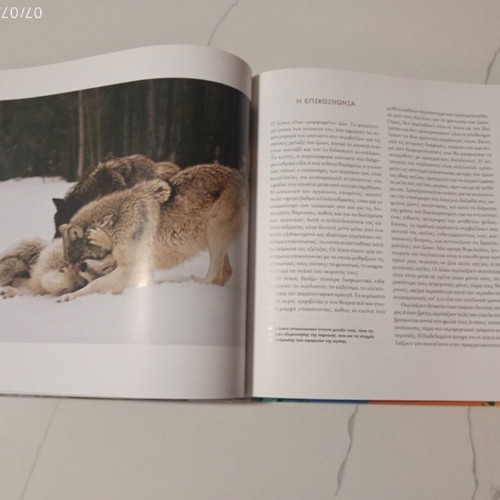 The Encyclopedia of Animals Volume 7 used, The Wolf and Mountain Animals