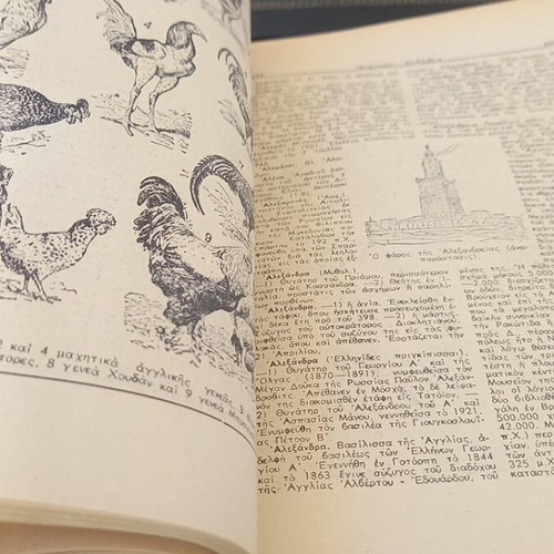 Epitomon Orthografikon kai Egkyklopaideikon Lexikon "Iliou" used, 2 volumes