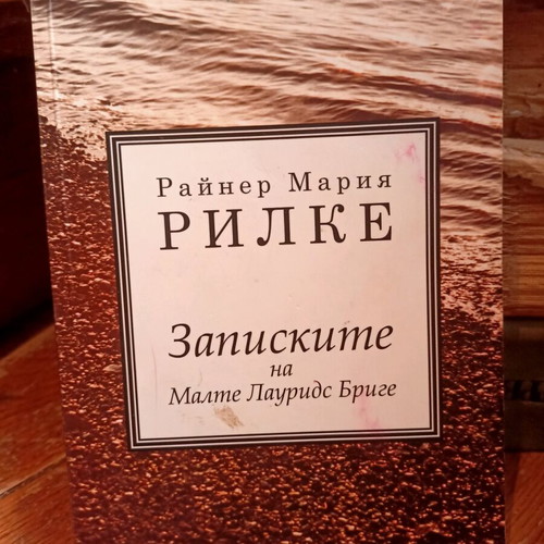 Notes of Malte Laurids Brigge like new