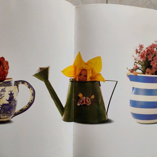 The Garden Treasures Anne Geddes book like new
