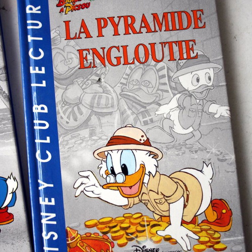 Disney Club DuckTales Chip & Dale Hachette France books new, pack of 6