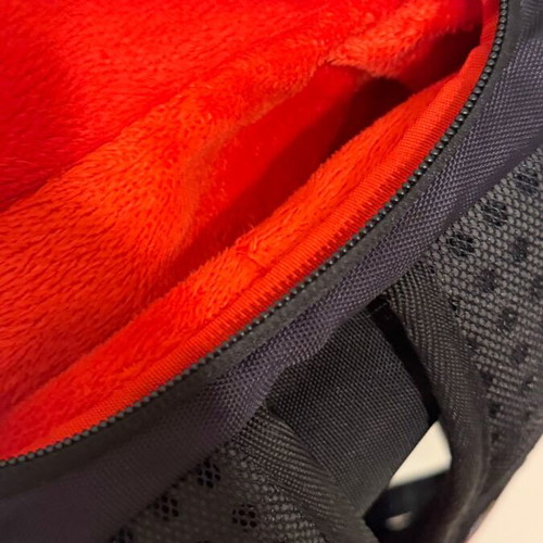 Sprayground x Nickelodeon backpack used, limited edition, red