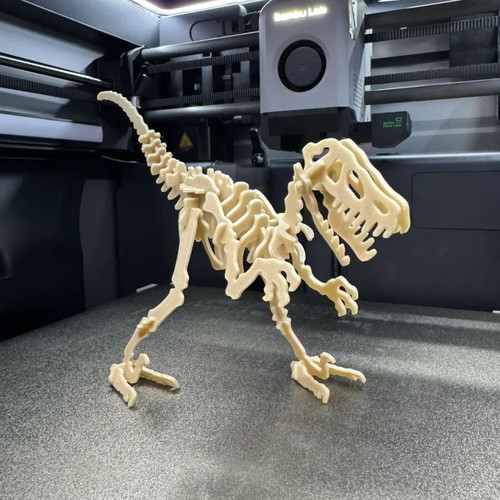 Velociraptor Kit Card new