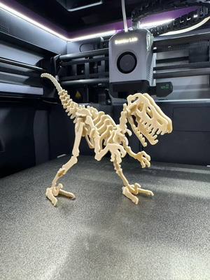 Velociraptor Kit Card new