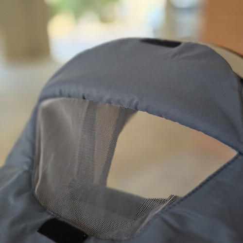 Coletto Avangard 3-in-1 stroller