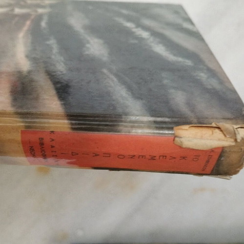 The stolen child used book by Pehlivanidis