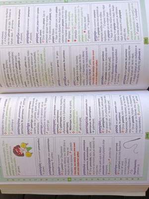 School Book Illustrated Dictionary like new