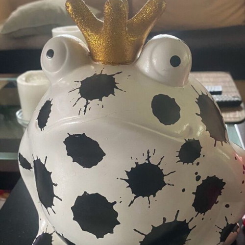 Decorative frog piggy bank new from designer store Glyfada