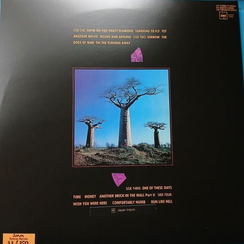 Pink Floyd Delicate Sound of Thunder LP άλμπουμ καινούργιο, έγχρωμο βινύλιο 2 δίσκων