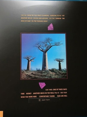 Pink Floyd Delicate Sound of Thunder LP άλμπουμ καινούργιο, έγχρωμο βινύλιο 2 δίσκων