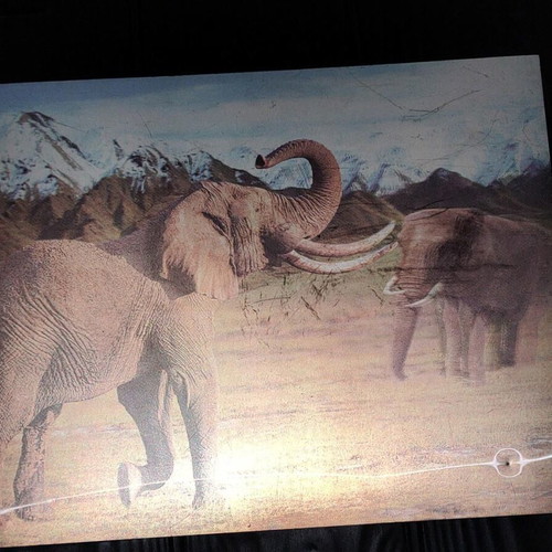 3D Decorative Wall Art with African Elephants Effect 39x29cm like new