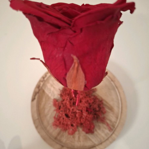Decorative rose like new, height 19 cm