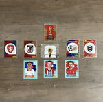 Panini stickers pack new