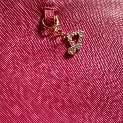 Carpisa fuchsia wallet new