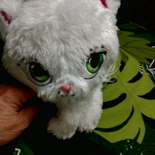Shimmer Stars Jelly Bean plush cat used