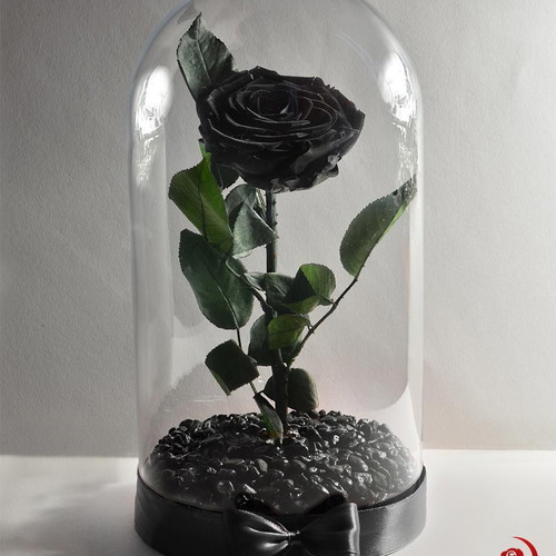 Black Eternal Rose in Large Glass Dome made to order