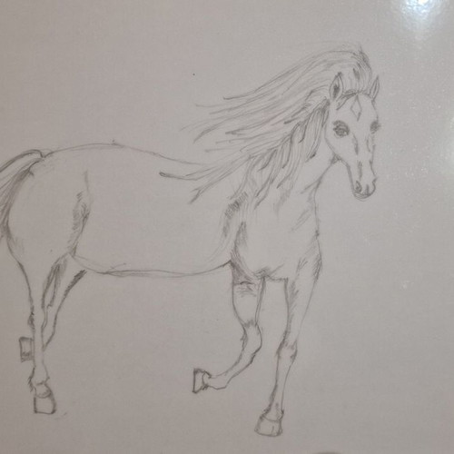 Magic Horse drawing new, pencil technique, laminated