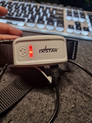 Tkstar ηλεκτρικό GPS κολάρο σκύλου, επαναφορτιζόμενο με USB