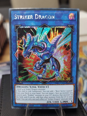 Striker Dragon Platinum Secret Rare Yu-Gi-Oh! card