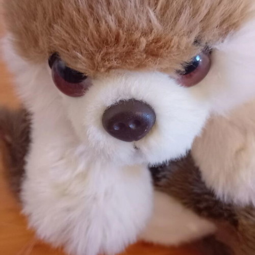 Signature Cuddle Puppy Pomeranian and Bula Cat plush toys like new